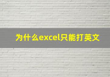 为什么excel只能打英文