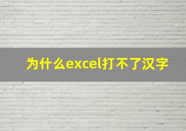 为什么excel打不了汉字