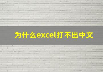 为什么excel打不出中文