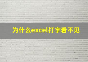 为什么excel打字看不见