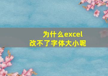 为什么excel改不了字体大小呢