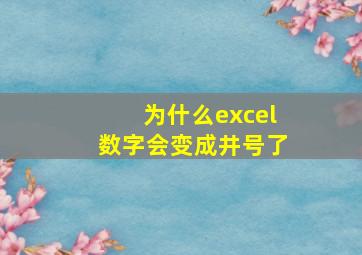 为什么excel数字会变成井号了