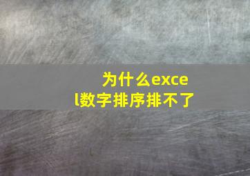 为什么excel数字排序排不了