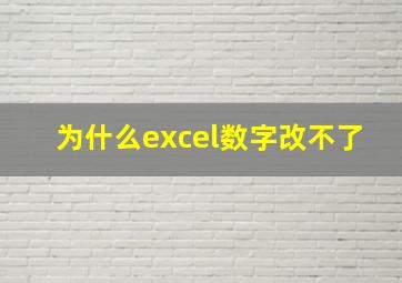 为什么excel数字改不了