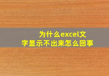 为什么excel文字显示不出来怎么回事