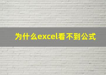 为什么excel看不到公式