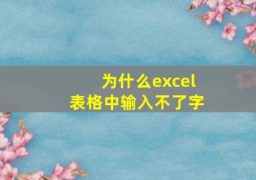 为什么excel表格中输入不了字