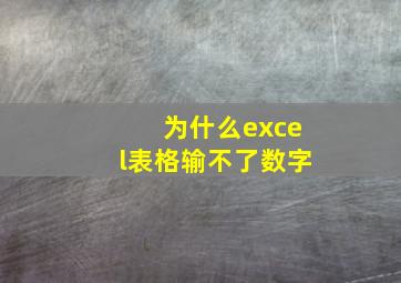 为什么excel表格输不了数字