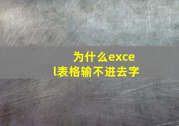 为什么excel表格输不进去字