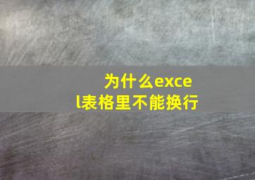 为什么excel表格里不能换行