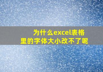 为什么excel表格里的字体大小改不了呢