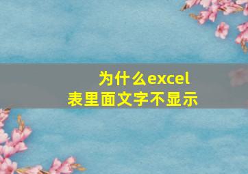 为什么excel表里面文字不显示