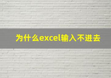 为什么excel输入不进去