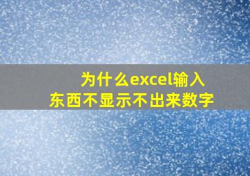 为什么excel输入东西不显示不出来数字