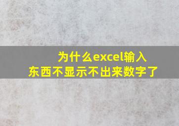 为什么excel输入东西不显示不出来数字了