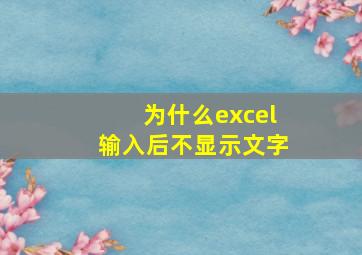 为什么excel输入后不显示文字