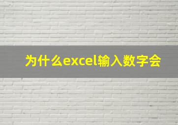 为什么excel输入数字会