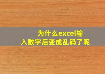 为什么excel输入数字后变成乱码了呢