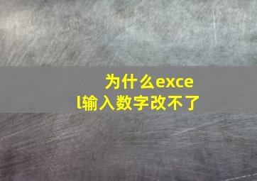 为什么excel输入数字改不了