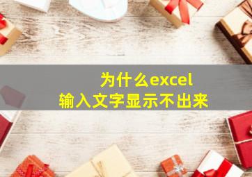 为什么excel输入文字显示不出来