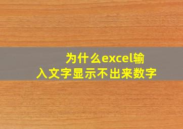 为什么excel输入文字显示不出来数字