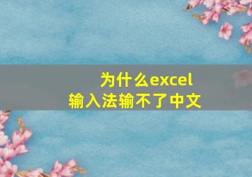 为什么excel输入法输不了中文