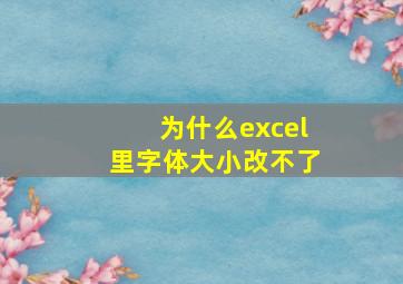 为什么excel里字体大小改不了