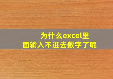 为什么excel里面输入不进去数字了呢