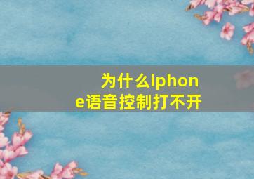 为什么iphone语音控制打不开