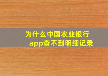 为什么中国农业银行app查不到明细记录