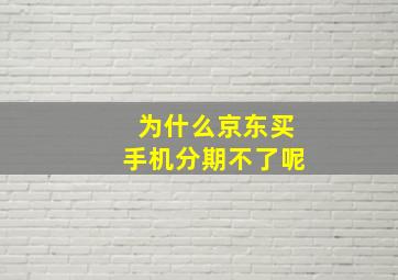 为什么京东买手机分期不了呢