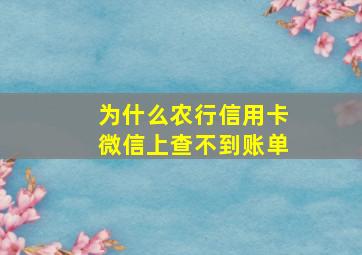 为什么农行信用卡微信上查不到账单