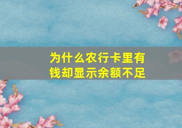 为什么农行卡里有钱却显示余额不足