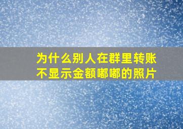 为什么别人在群里转账不显示金额嘟嘟的照片