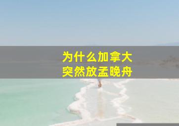 为什么加拿大突然放孟晚舟