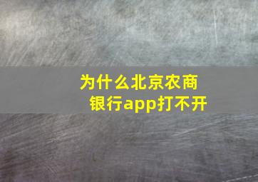 为什么北京农商银行app打不开