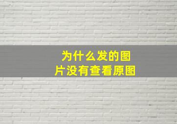 为什么发的图片没有查看原图