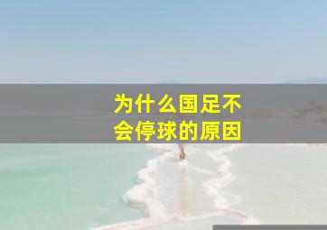 为什么国足不会停球的原因