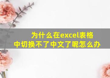 为什么在excel表格中切换不了中文了呢怎么办