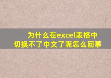 为什么在excel表格中切换不了中文了呢怎么回事