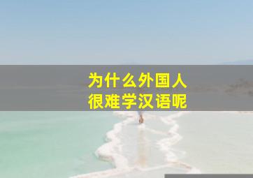 为什么外国人很难学汉语呢