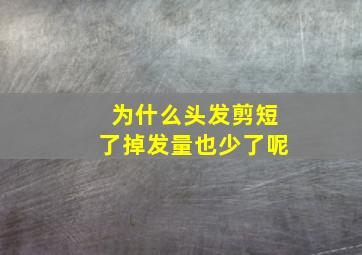 为什么头发剪短了掉发量也少了呢