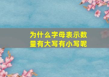 为什么字母表示数量有大写有小写呢