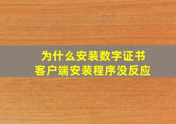 为什么安装数字证书客户端安装程序没反应