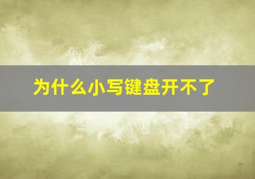 为什么小写键盘开不了