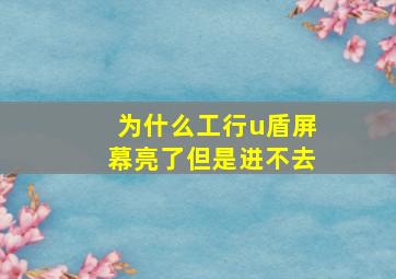 为什么工行u盾屏幕亮了但是进不去