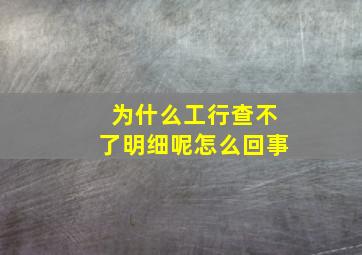 为什么工行查不了明细呢怎么回事