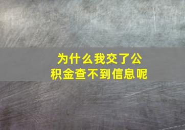 为什么我交了公积金查不到信息呢