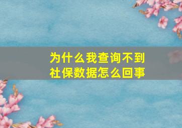 为什么我查询不到社保数据怎么回事