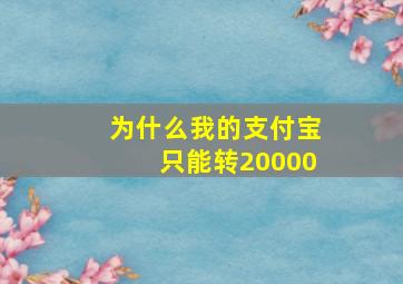 为什么我的支付宝只能转20000